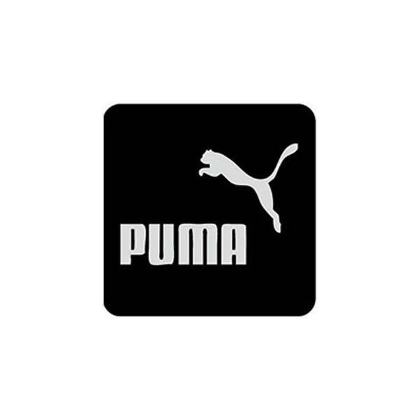 Chasback Puma Mobile Screen Micro Cleaner، تمیز کننده صفحه نمایش موبایل چسبک طرح پوما