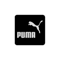 Chasback Puma Mobile Screen Micro Cleaner تمیز کننده صفحه نمایش موبایل چسبک طرح پوما