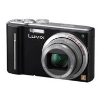 (Panasonic Lumix DMC-TZ8 (ZS5 - دوربین دیجیتال پاناسونیک لومیکس دی ام سی-تی زد 8 (زد اس 5)