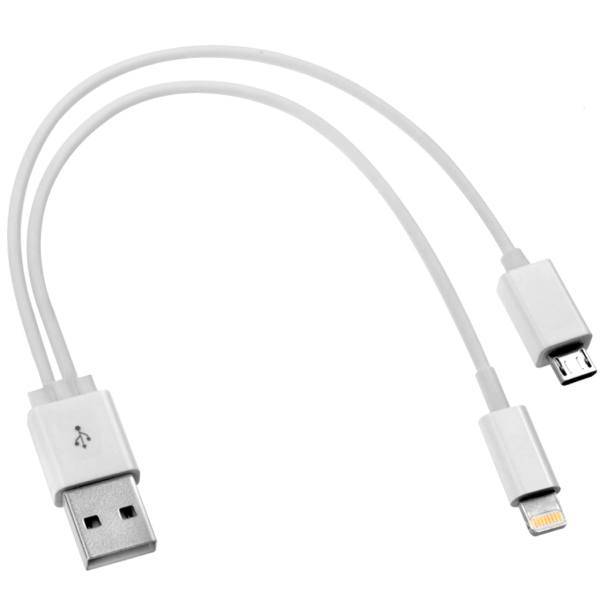 Two in One USB To microUSB And Lightning Cable 20cm، کابل شارژدو سر اندرودی و آیفونی مدل Two in One به طول 20 سانتی متر