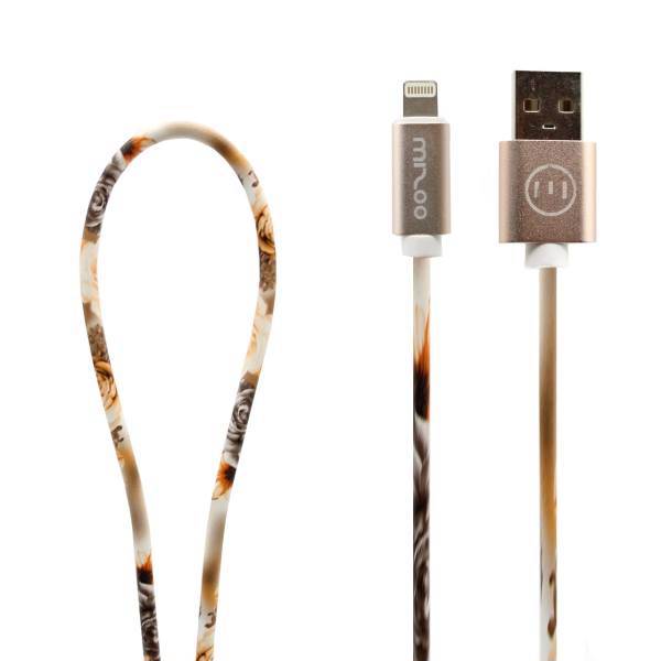 Graffiti AP 17 USB To Lightning Cable 1m، کابل تبدیل USB به لایتنینگ مدل Graffiti AP 17 به طول 1 متر