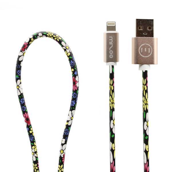 Graffiti AP 08 USB To Lightning Cable 1m، کابل تبدیل USB به لایتنینگ مدل Graffiti AP 08 به طول 1 متر