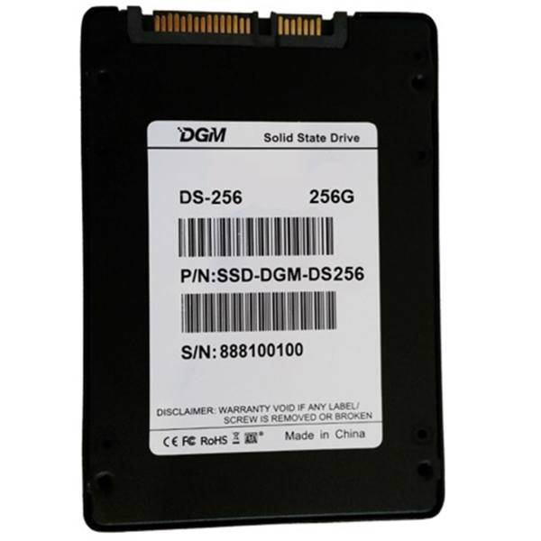 DGM SS900 internal SSD Drive - 256GB، حافظه SSD اینترنال دی جی ام مدل SS900 ظرفیت 256 گیگابایت