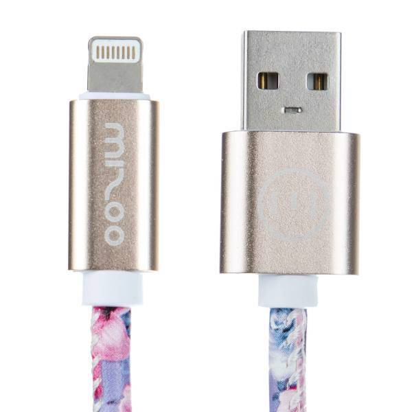 Graffiti AP 16 USB To Lightning Cable 1m، کابل تبدیل USB به لایتنینگ مدل Graffiti AP 16 طول 1 متر