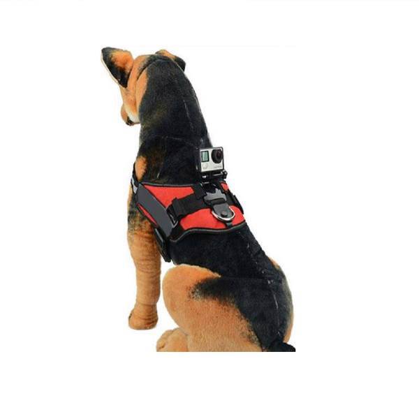 پایه نگهدارنده مدل Dog harness مناسب برای دوربین های ورزشی