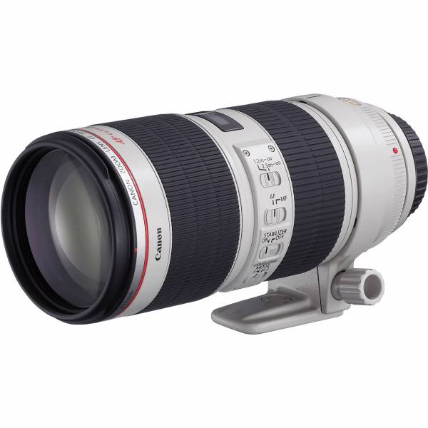 Canon EF 70-300mm f/4-5.6L IS USM Lens For Canon، لنز کانن مدل EF 70-300mm f/4-5.6L IS مناسب برای دوربین های کانن