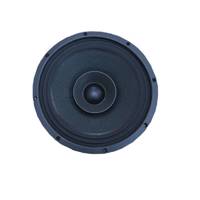 Sammi 12inch full range speaker - اسپیکر 12 اینچ فول رنج سامی مدل ME300