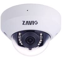 Zavio P6210 2MP Pan/Tilt IR Mini Dome IP Camera - دوربین تحت شبکه 2 مگاپیکسلی Pan/Tilt زاویو مدل P6210