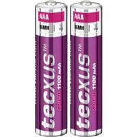 Tecxus NiMh Accu Rechargeable AAA 1100 mAh Batteryack of 2 باتری قابل‌شارژ نیم قلمی تکساس مدل Accu بسته‌ی 2 عددی
