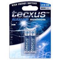 Tecxus Alkaline AAA Battery Pack of 2 - باتری نیم قلمی تکساس مدل Alkaline بسته 2 عددی