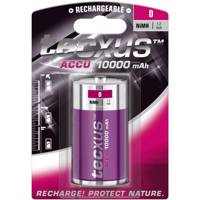 Tecxus Rechargeable Accu NiMH 10000 mAh D Battery باتری قابل شارژ سایز بزرگ تکساس مدل Accu