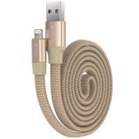 Devia Ring Y1 USB to Lightning Cable 0.8m کابل تبدیل USB به لایتنینگ دویا مدل Ring Y1 به طول 0.8 متر